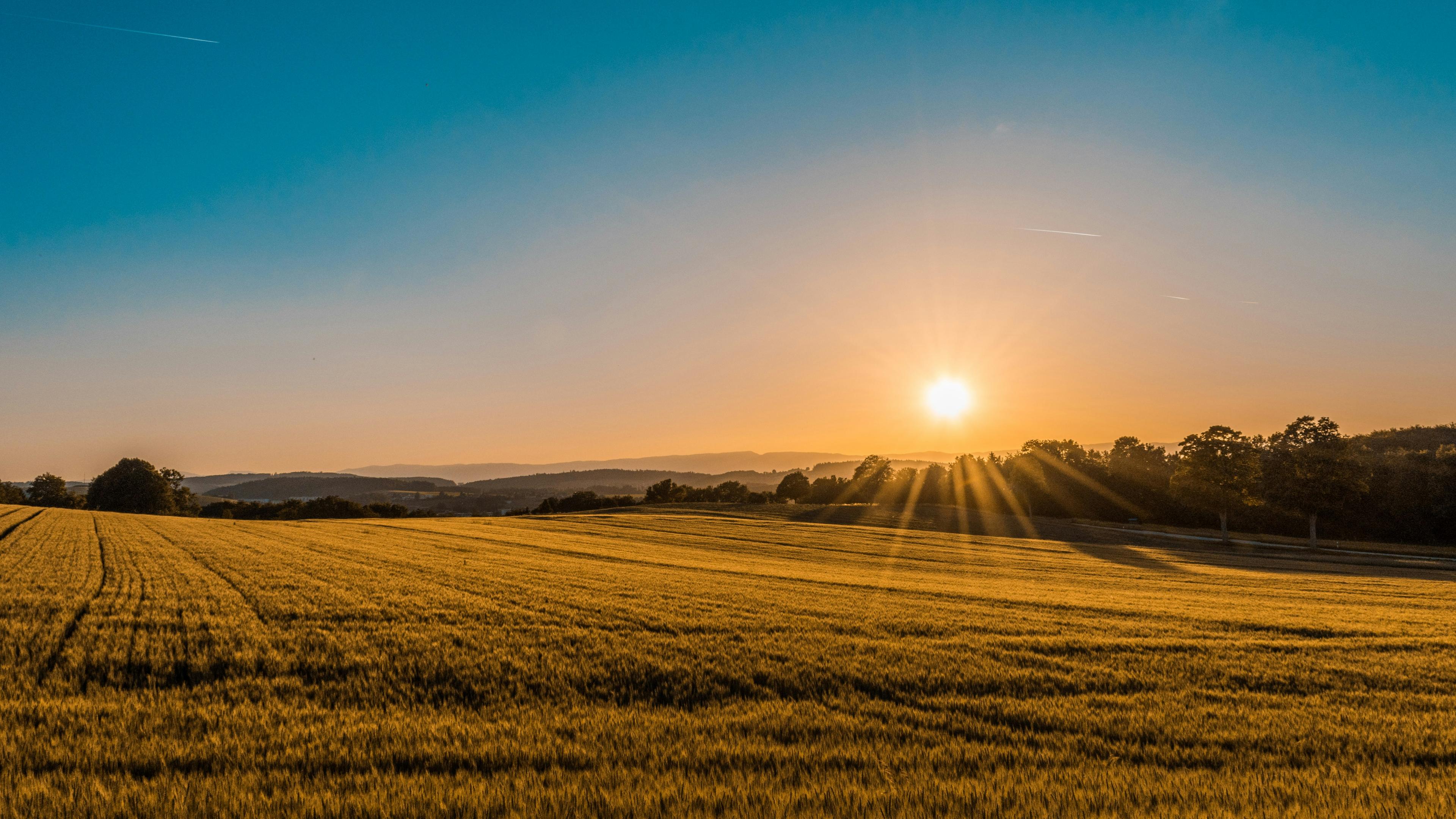 Picture of a farm sunset